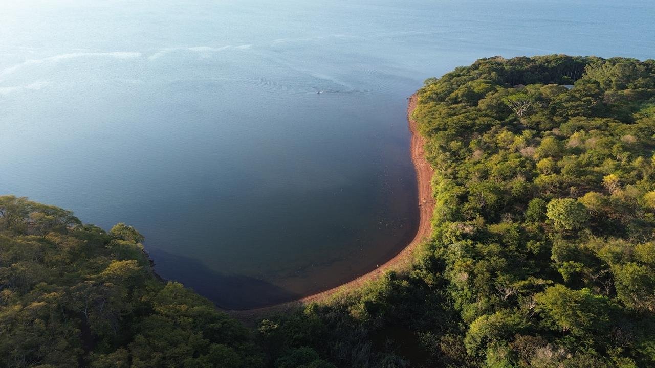 Vista aérea de lago com vegetação ribeirinha